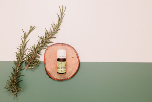 🌿 Ultra Pure Rosemary Essential Oil (5ml) – 100% Steam Distilled 🌿